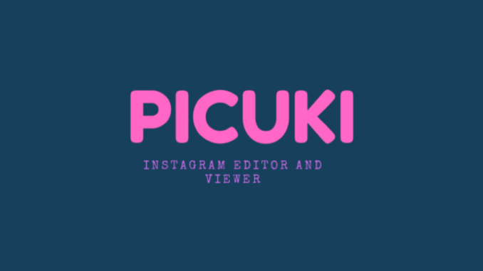 Picuki Review